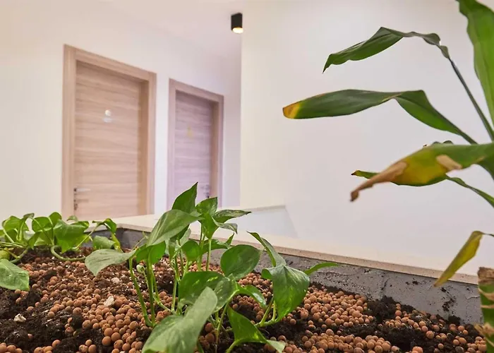 Boutique Garden Rooms